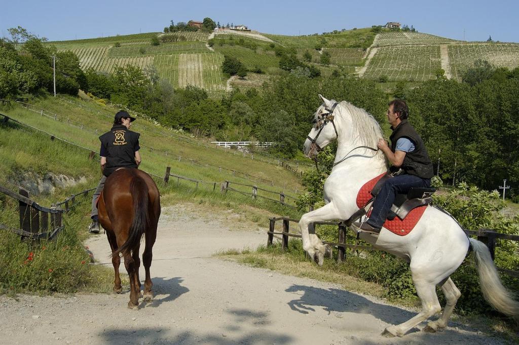 La Maragliana Lejlighedshotel Castel Rocchero Eksteriør billede